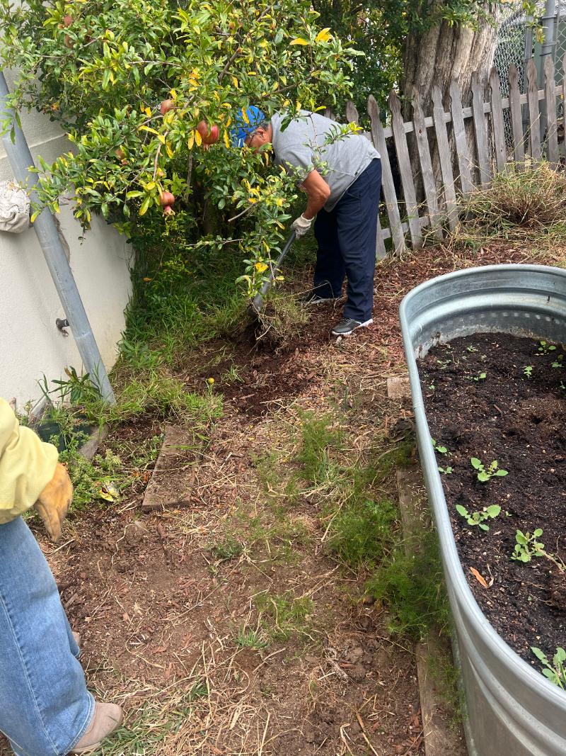 Student and volunteer planting in a raised bed